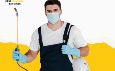 Bed Bugs Control Near Me In Karachi