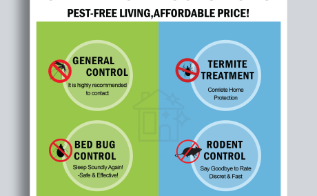 Pest Control Service by LocalRamu to Eliminate Pests from home in Bangalore