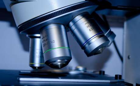 Discover Your Gut Health with a Gut Microbiome Test