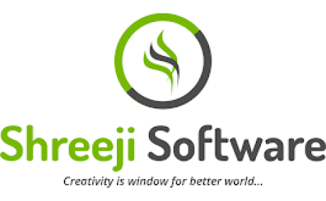 Shreeji Software - Innovative Web Development Company in India