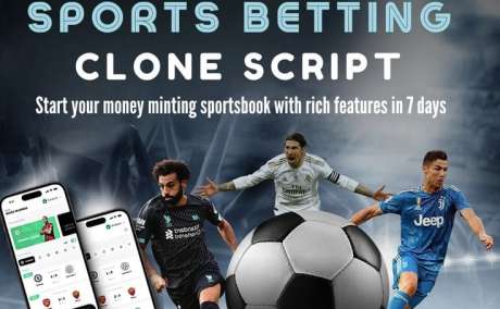 High-ROI Sports Betting Clone Script | Free Live Demo