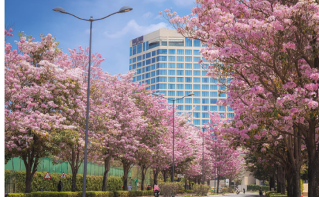 Best Places To Buy Property In Bangalore