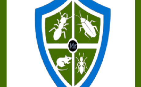 termite pest control in hyderabad