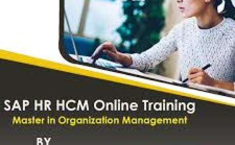 SAP HR HCM online training institutes in Hyderabad | Igrowsoft