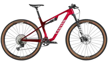 2025 Canyon Lux World Cup CF 8 Mountain Bike (INDORACYCLES)