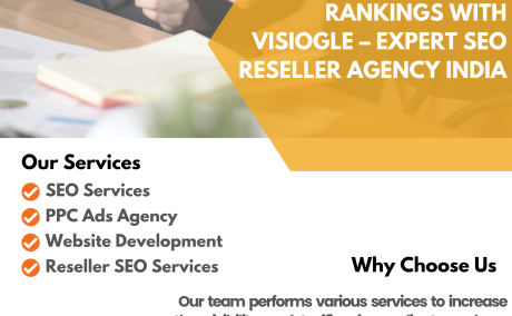 Boost Client Rankings with Visiogle - Expert SEO Reseller Agency India