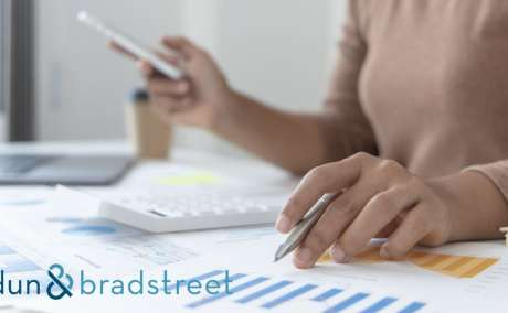 Credit Score Insights in Egypt for Smarter Risk Decisions