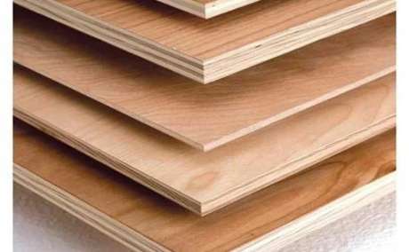 Termite Proof Board Delhi - Buy at Best Price Today