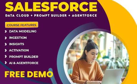 Salesforce Data Cloud Training Chennai | Online Training