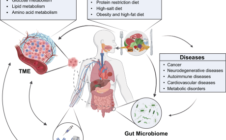 Diet Therapy Explained: Therapeutic Diet Benefits for Health & Healing
