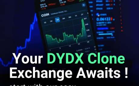 Own a Branded DeFi Exchange with Advanced TradingView Integration