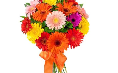 Affordable Gifts Under 1000 with Fast Delivery