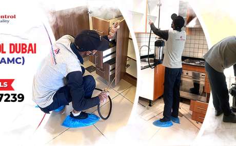 # Best & Perfect Pest Treatment - Killer Prices