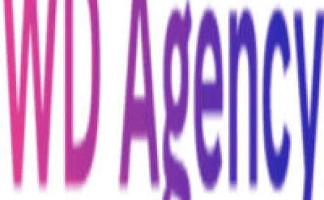 Top Website Development Agency & Company in Dubai- WD Agency