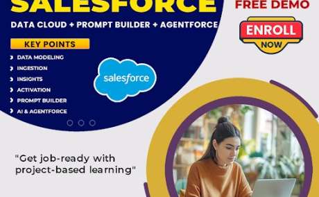 Salesforce Data Cloud Classes | Online Training