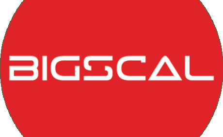Bigscal The Ultimate Software Development Company