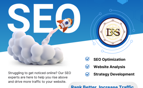 SEO Services Agency in Delhi | Brand Roof Solutions