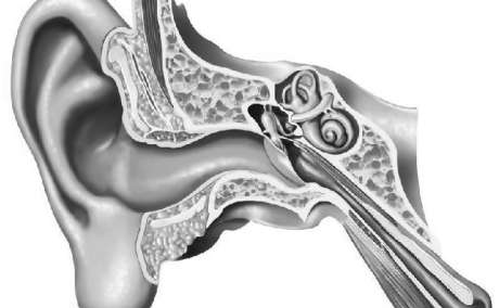 best tympanoplasty in Dubai | Dr Kapadia