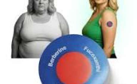 Florisma Patch Canada: Natural Balance, Wellness, and Daily Vitality, You Need to Know Before Buying!