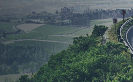 International Driver’s License: Your Complete Guide to Driving Abroad