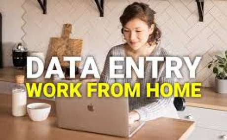 Data Filling Project for Typists | 7708244092