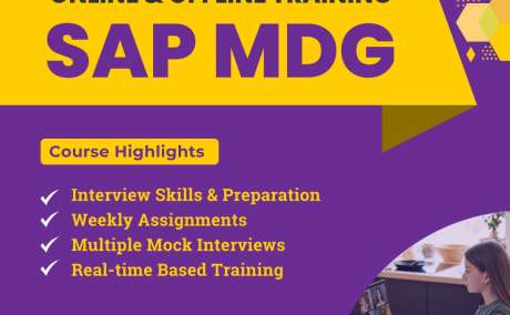 Become a Master of Data Governance with SAP MDG Training in Hyderabad - Accelerate Your Career with Version IT