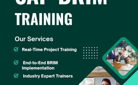 Version IT: A Trailblazer in SAP BRIM Training in Hyderabad for Future-Ready Professionals