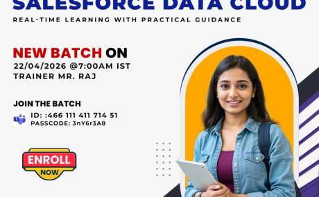 Salesforce Data Cloud Training Online - Batch Starts April 22!