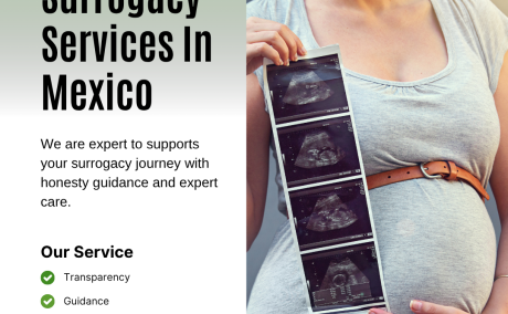 Surrogacy Services In Mexico