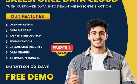 Salesforce Data Cloud Training Ameerpet | Data Cloud Course