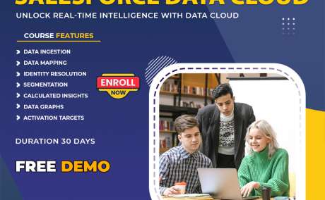 Salesforce Data Cloud Training Hyderabad | Visualpath