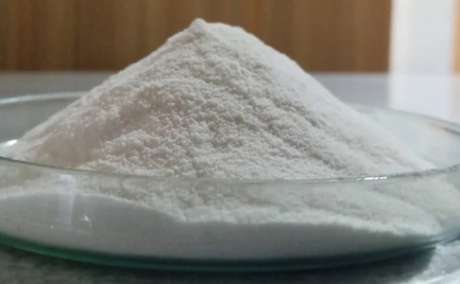 Find Maltogenic Amylase Manufacturer for Bakery Enzymes