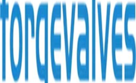 China Forged Valves Co., Ltd.