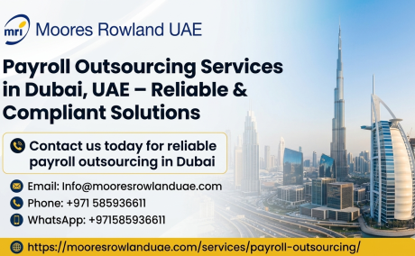 https://zimtro.com/services/dubai-property-dispute-experts-for-investors