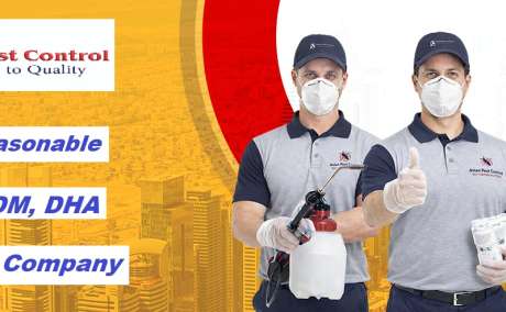 # Pest Control - Quality & Approved