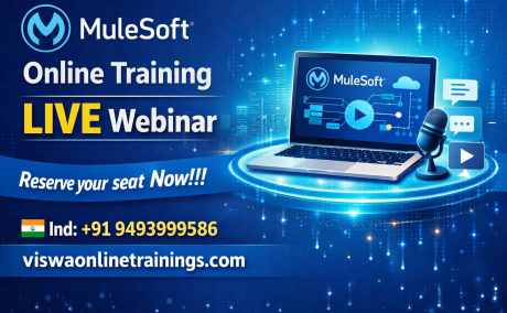 MuleSoft Online Training Real-time support from India