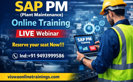SAP PM Online Certification Training Course