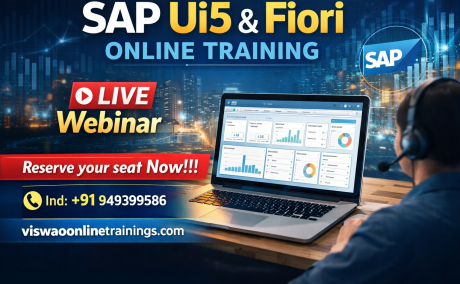SAP Ui5 Online Training Real-time support from India