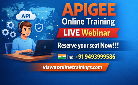 APIGEE Online Training From Hyderabad India