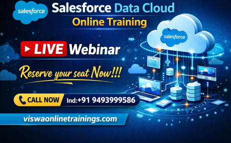 Salesforce Data Cloud Online Training Course Free with Certificate