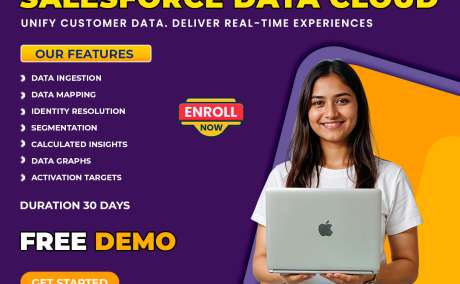 Salesforce Data Cloud Training | Online Course