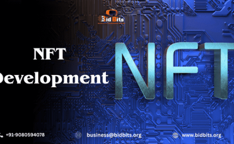 Deploy Efficient NFT Minting System for NFT Development Services