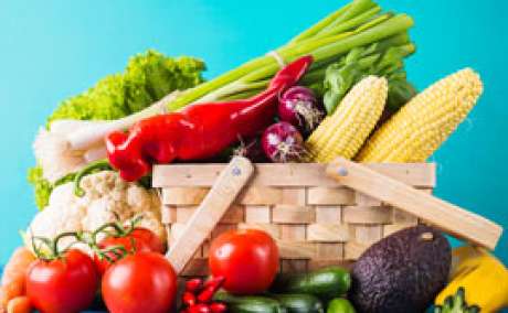 Need Human Nutrition Enzymes? Shop Trusted Solutions Now