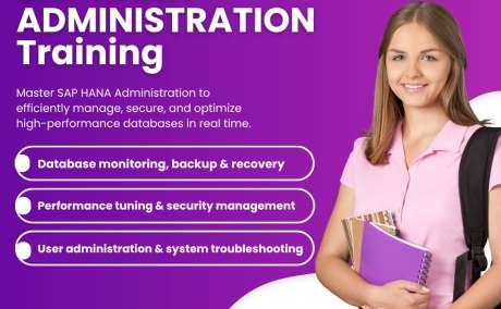Version IT - Leading SAP HANA Administration Training Institute in Hyderabad