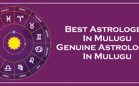 Best Astrologer in Mulugu