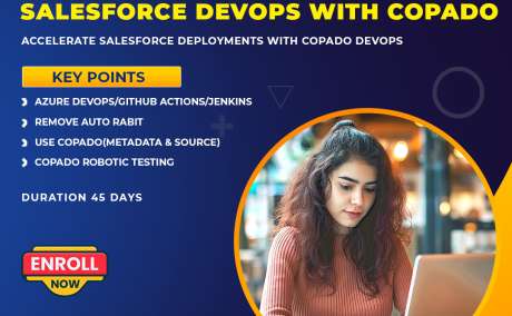 Best Salesforce DevOps Course | Online Training