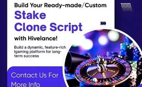 Why Are Investors Choosing Stake Clone Script Solutions in 2026?