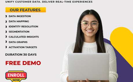 Best Salesforce Data Cloud Online Training | Online Course