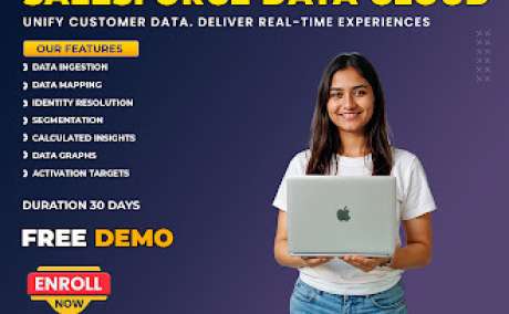 Salesforce Data Cloud Training | Salesforce Data Cloud Course