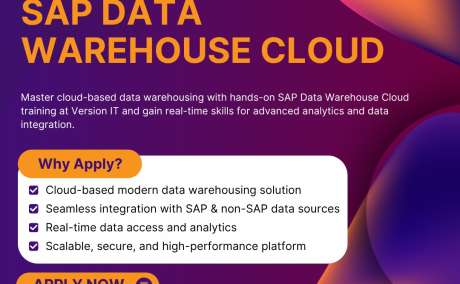 Master Cloud Data Management with the Best SAP Data Warehouse Cloud Training in Hyderabad at Version IT